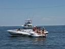 Back to the Beach 2009 (8).JPG